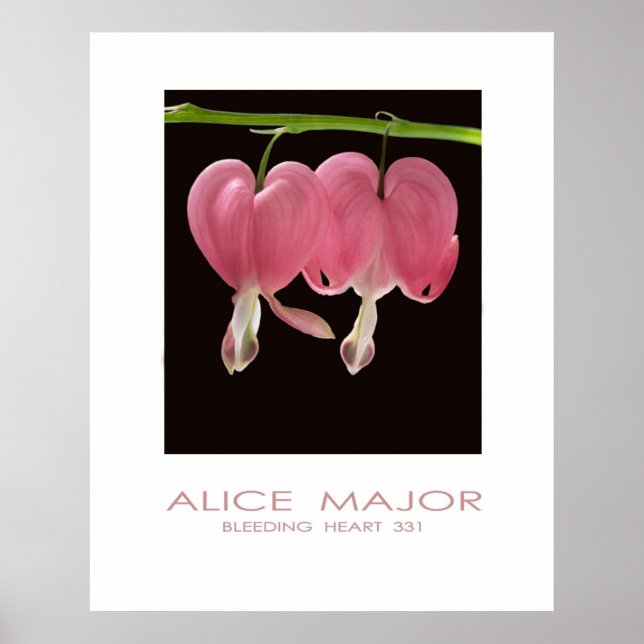 Poster Corações hemorrágicos 331 (Frente)