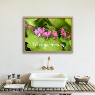 Póster Corações Sangrentos Rosa Adoro Jardinagem Floral