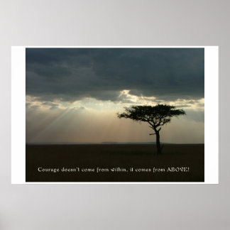 Póster Coragem de Acima