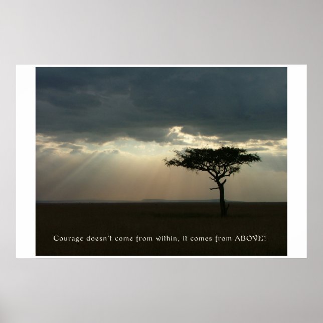Póster Coragem de Acima (Frente)