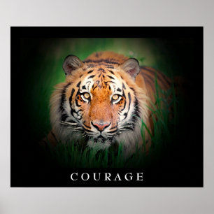 Poster Coragem Motivacional Olhos de Tigre