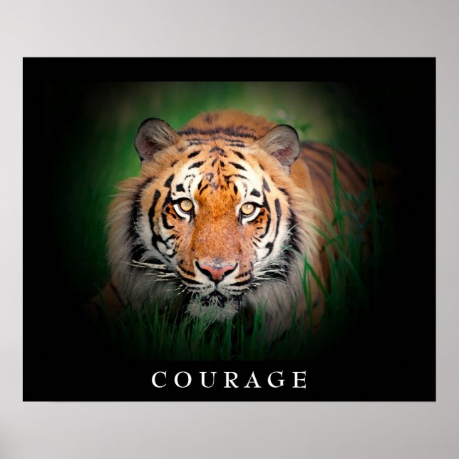 Poster Coragem Motivacional Olhos de Tigre (Frente)