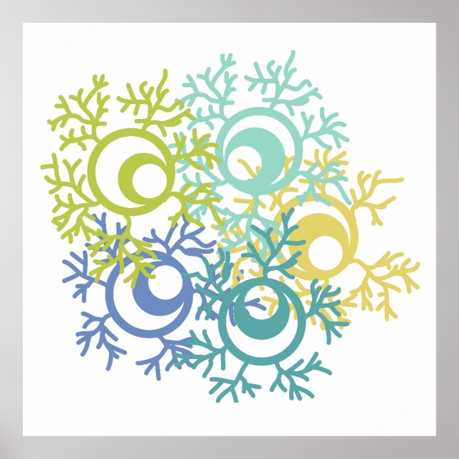 Poster Coral (Frente)