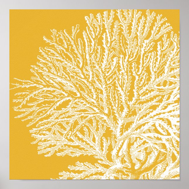 Poster Coral Amarelo e Branco (Frente)