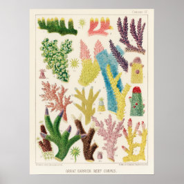 Poster Coral, Barreira de Excelente Recife de vintage ポ p