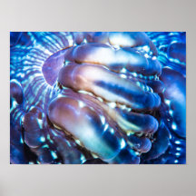 Coral de cor média