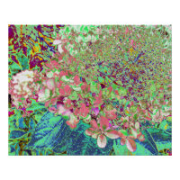 Coral Elegante e Chartreuse Limelight Hydrangea