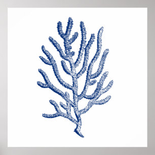 Poster Coral Minimalista em Azul