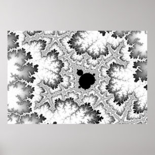 Poster coral preto