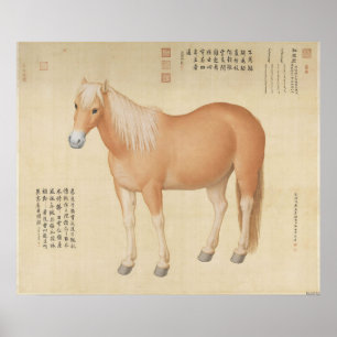 Poster Corcel Palomino Dourado - Arte Chinesa Vintage