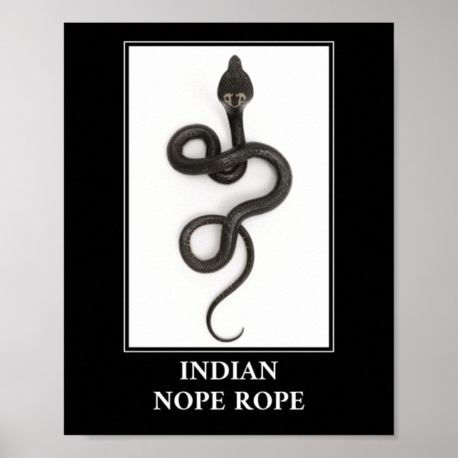 Poster Corda Nope Indiana - Perigo de Cobra Cobra (Frente)