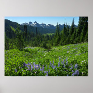 Poster Cordilheira das Cascatas do Parque Nacional Mount 