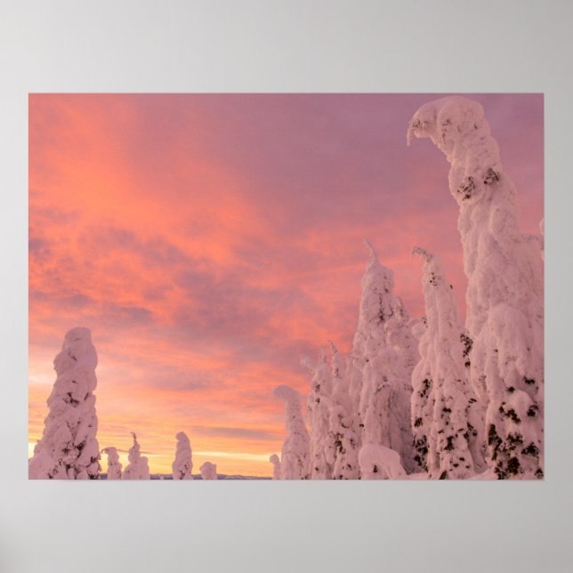 Poster Cordilheira | Whitefish, Montana (Frente)