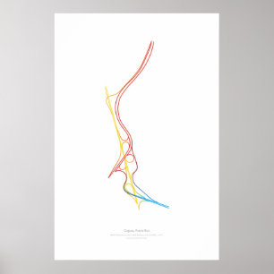 Póster Coreografia de Intercâmbio: Caguas, Porto Rico