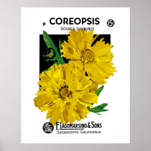 Póster Coreopse