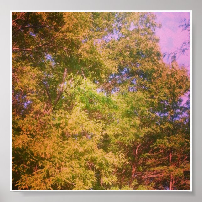 Poster Cores (Frente)