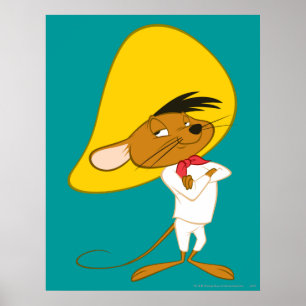 Póster Cores confiáveis GONZALES™ DE VELOCIDADE