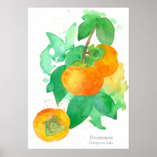 Poster Cores de Água Botânicas Frutas de Persimmon