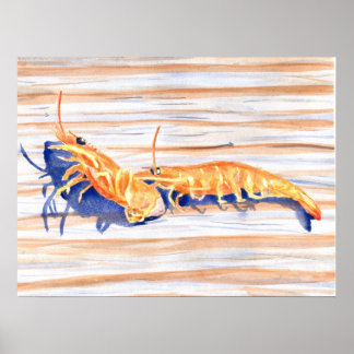 Póster Cores de água do camarão nas docas, isco de pesca