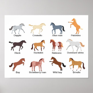 Poster Cores de Casaco