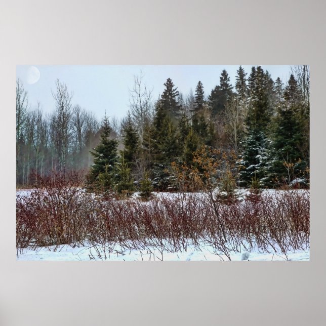 Poster Cores de inverno (Frente)