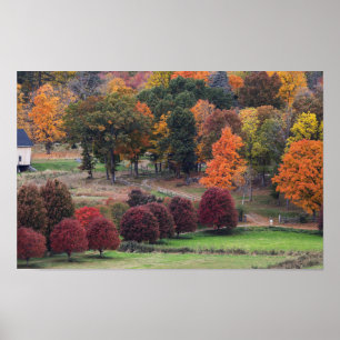 Poster Cores de Outono em Massachusetts