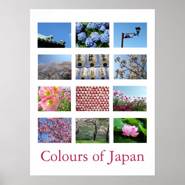 Poster Cores do Japão (azul/branco/rosa) (Frente)