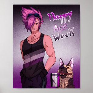 Poster Cores do Orgulho Asexual