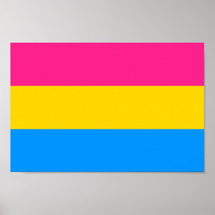 Poster Cores do Orgulho Pansexual