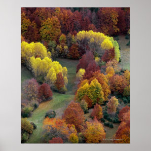Póster Cores do outono