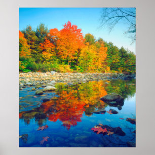Poster Cores do outono refletindo em um fluxo em Vermont