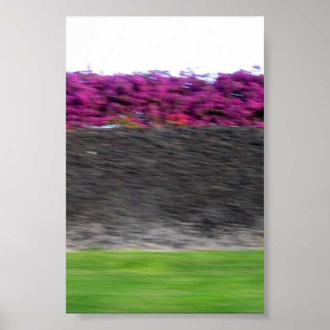 Poster cores kona (Frente)