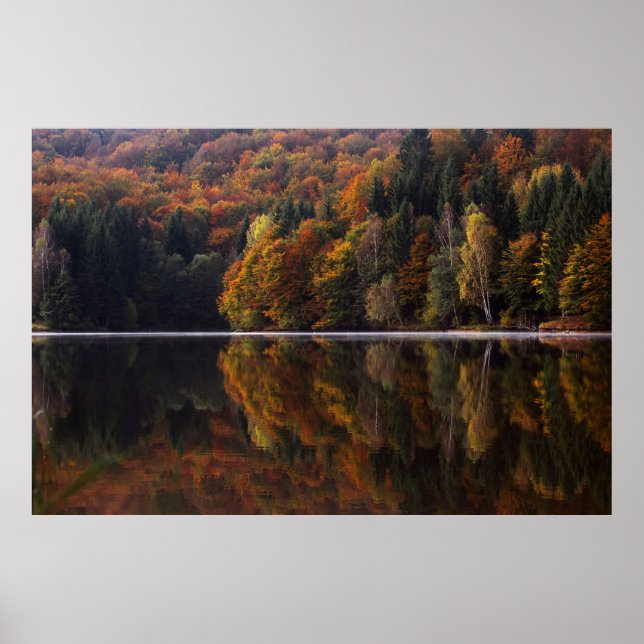 Poster Cores Refletidas (Frente)