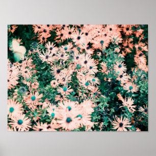 Poster Cores Únicas de Flores Silvestres