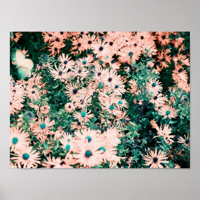 Poster Cores Únicas de Flores Silvestres (Frente)
