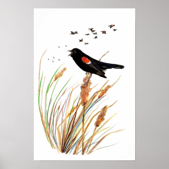 Poster Cores Vermelhas de Winged Blackbird - Coleção de A (Frente)