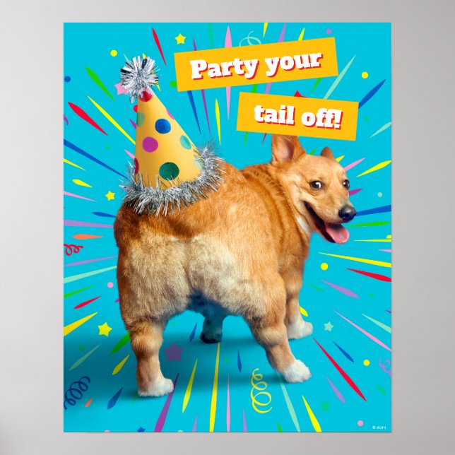 Poster Corgi Butt Birthday Hat (Frente)