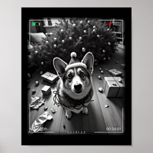 Poster Corgi de Natal Flagrado pela Câmera