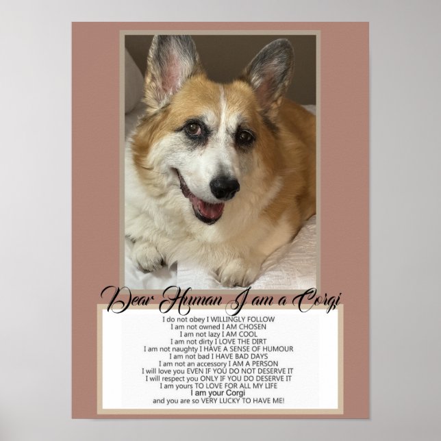 Poster Corgi Fala (Frente)