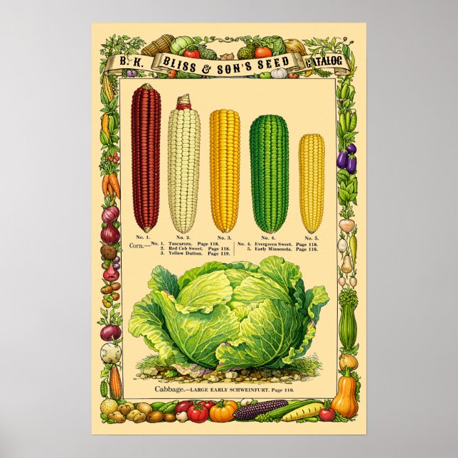 Poster Corn Retro Victorian Era Botanical Art (Frente)
