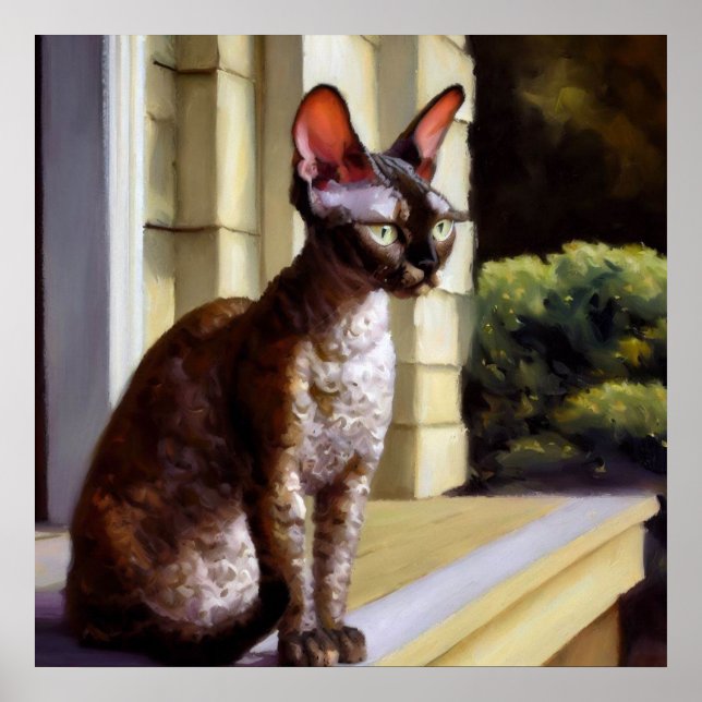 Poster Cornish Rex Cat (Frente)