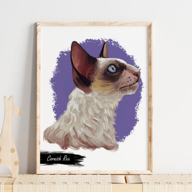Poster Cornish Rex Cat Print | Cat Wall Print (Criador carregado)