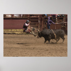 Póster Cornos de um dilema