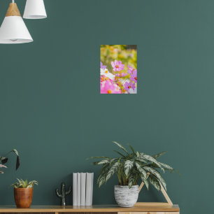Poster Coro Iluminado de Rosa