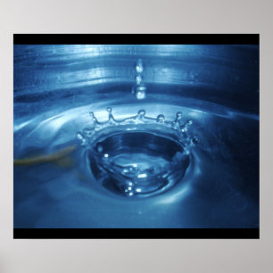 Poster coroa aquática