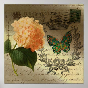 Poster Coroa francesa Hydrangea