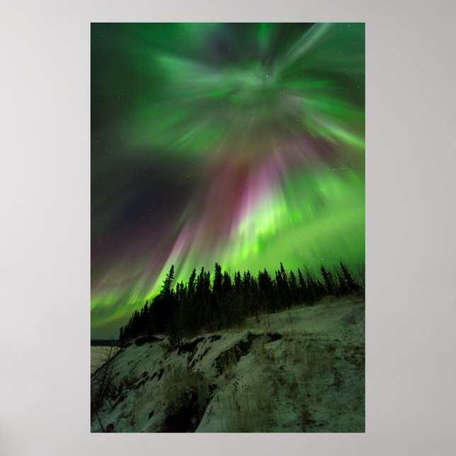 Poster Corona Aurora (Frente)