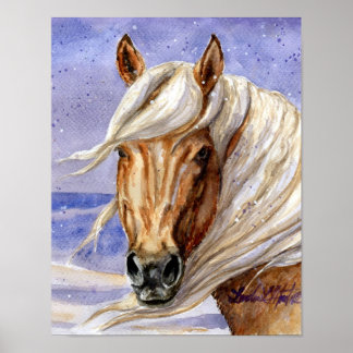 Poster Corona de Sand Wash Basin HMA Colorado