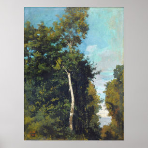 Poster Corot - Floresta Na Costa Da Grace Em Honfleur