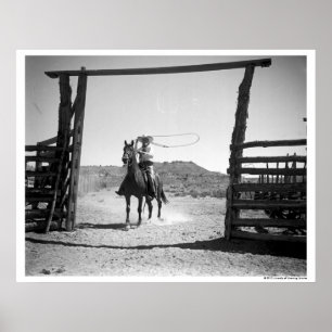 Poster Corpo de vaqueiro